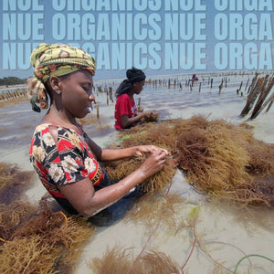 Raw Organic Sea Moss
